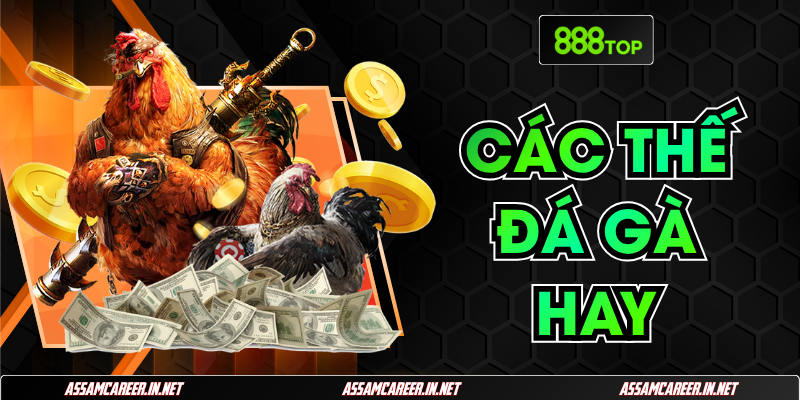 Tổng Hợp Các Thế Đá Gà Hay Giúp Cược Thủ Thắng Lớn Tổng Hợp Các Thế Đá Gà Hay Giúp Cược Thủ Thắng Lớn